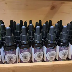 GÉMMOTHERAPIES ( macérâts concentrés)