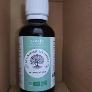 CYPRÈS