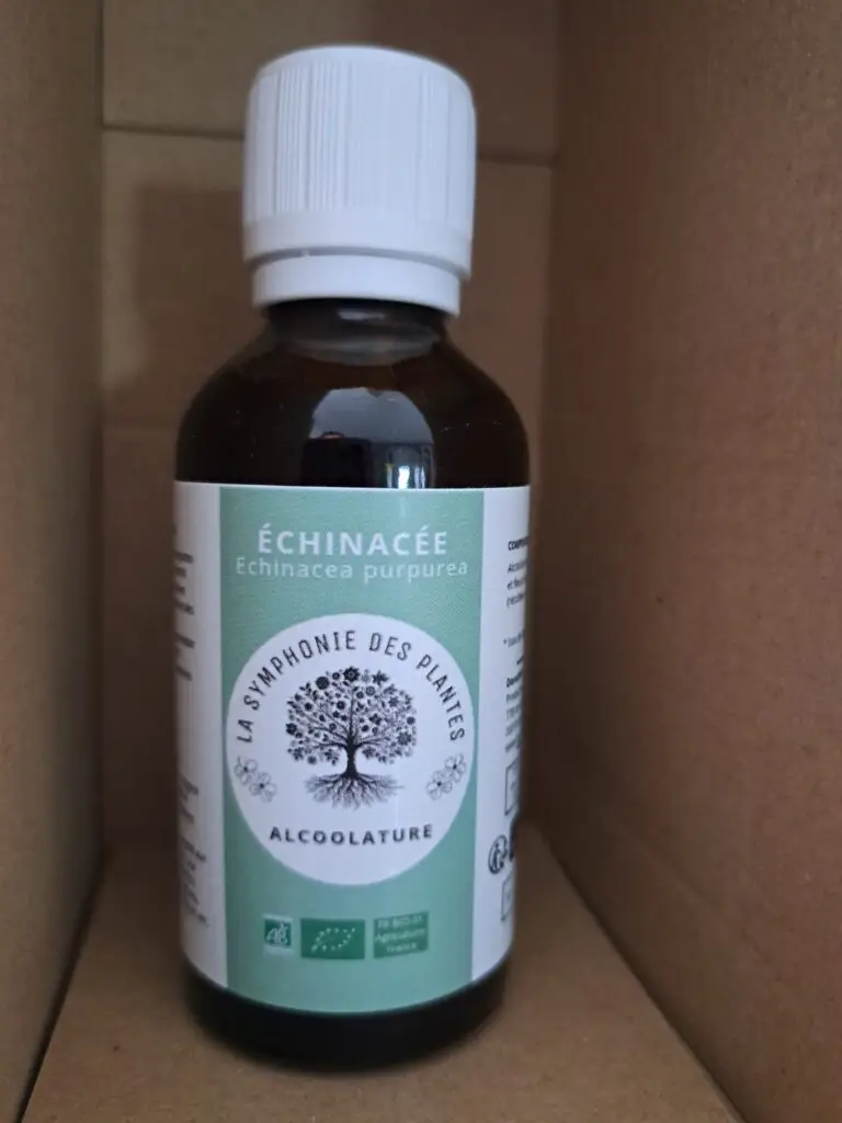 A echinacée