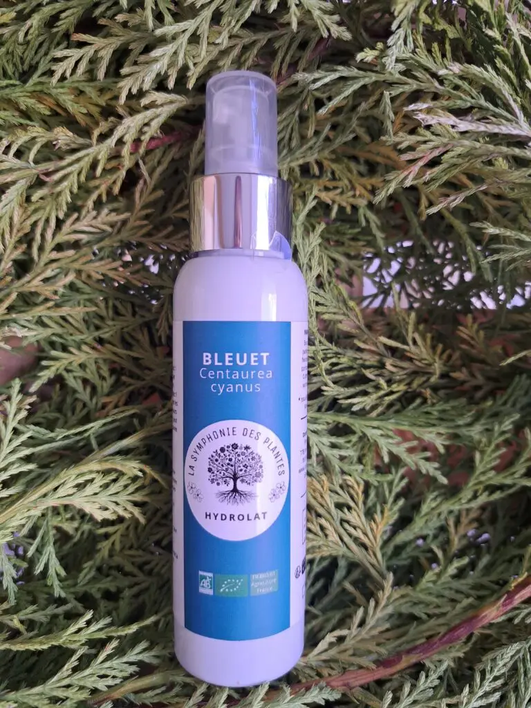 Bleuet1