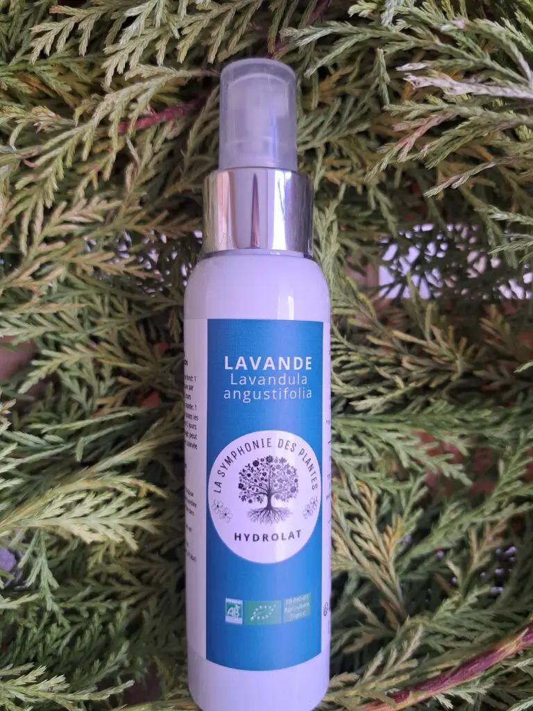 Lavande1