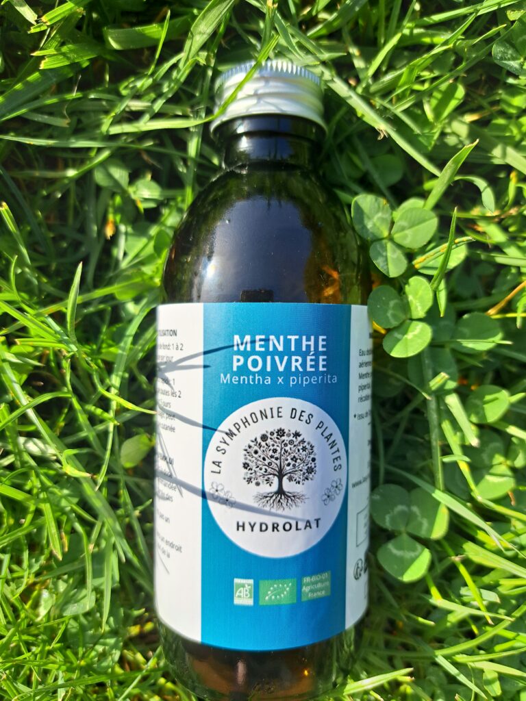 Menthe poivrée