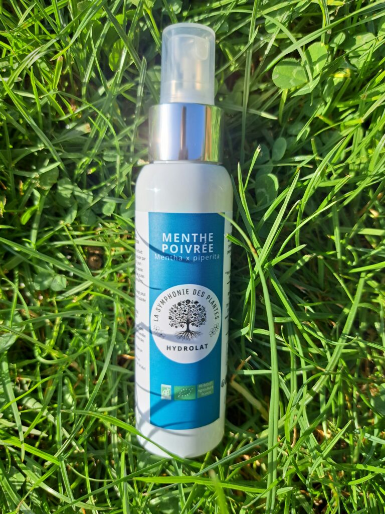 Menthe poivrée1