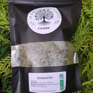 RÉVEILLE-TOI