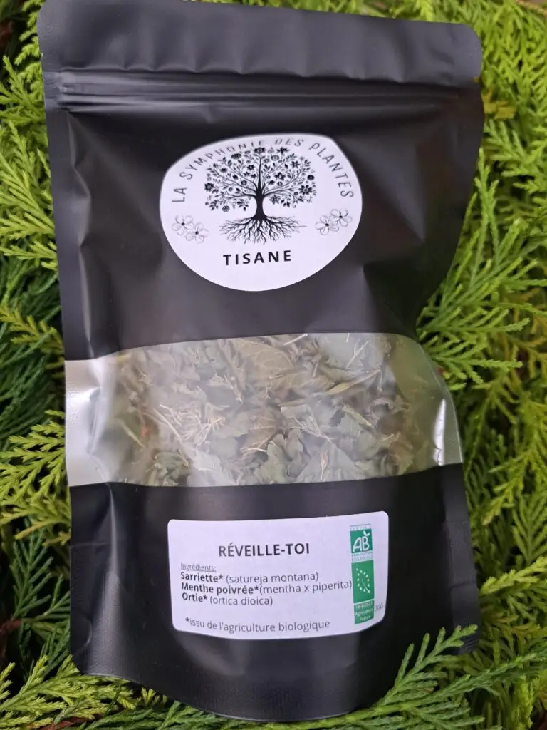 T réveille toi