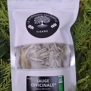 SAUGE OFFICINALE