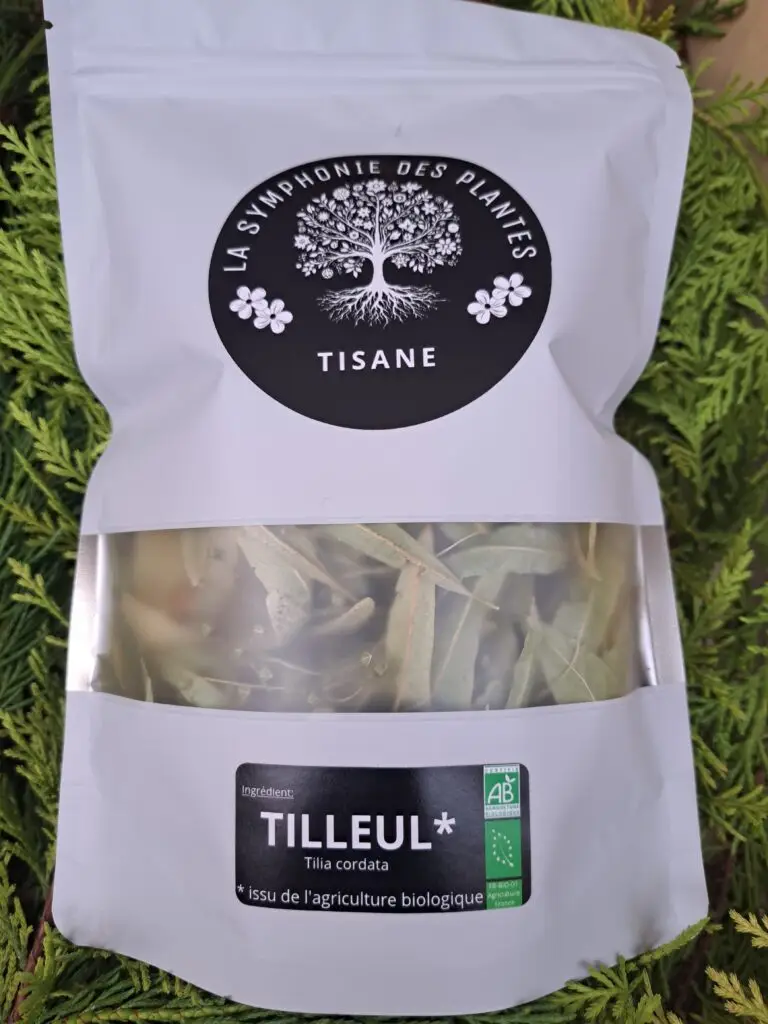 T tilleul