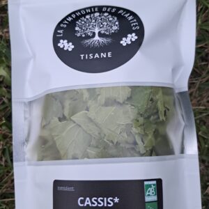 CASSIS