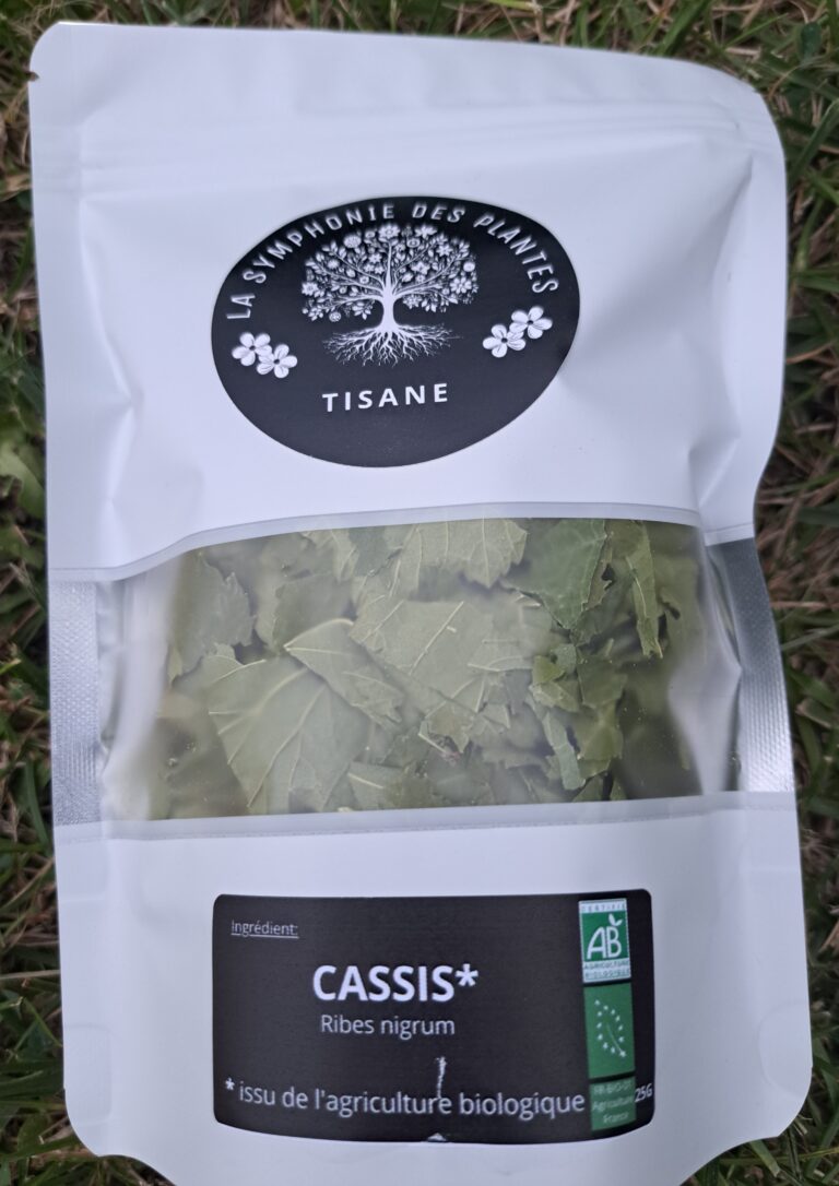 cassis