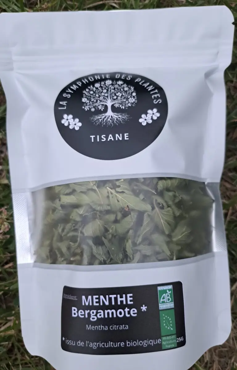 menthe bergamote