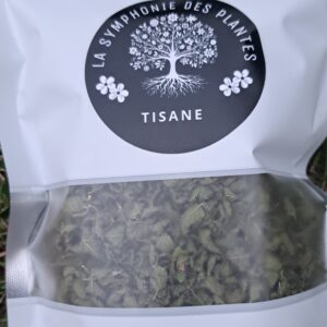 MENTHE FRAISE