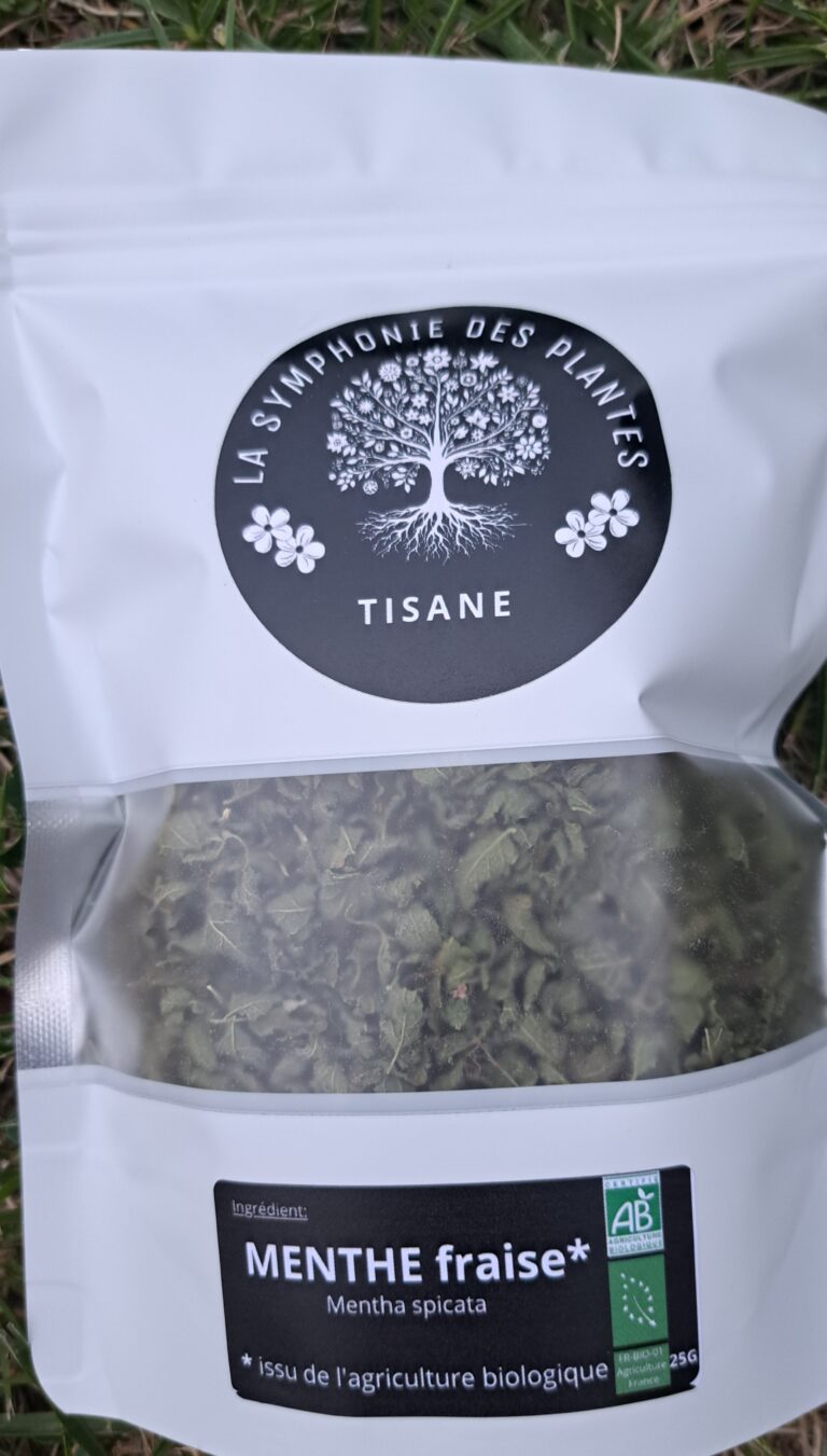 menthe fraise