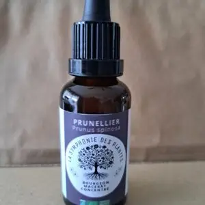 PRUNELLIER