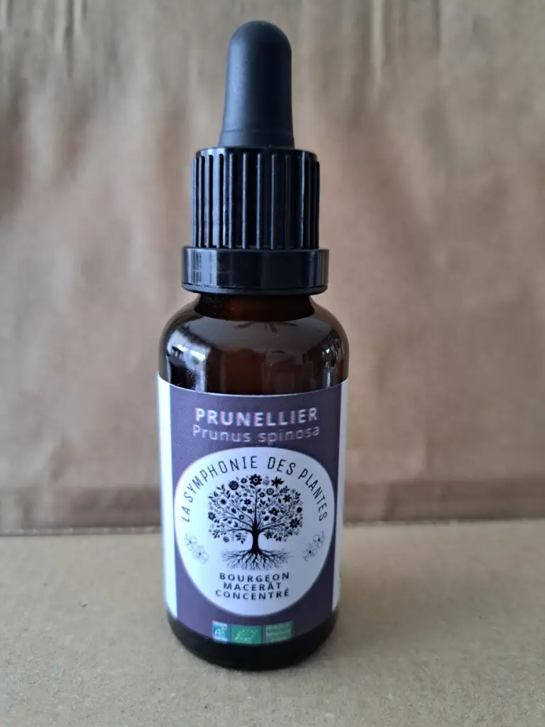 prunellier