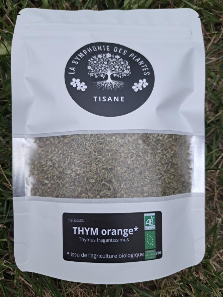 thym orange