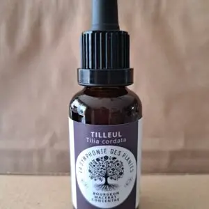 TILLEUL