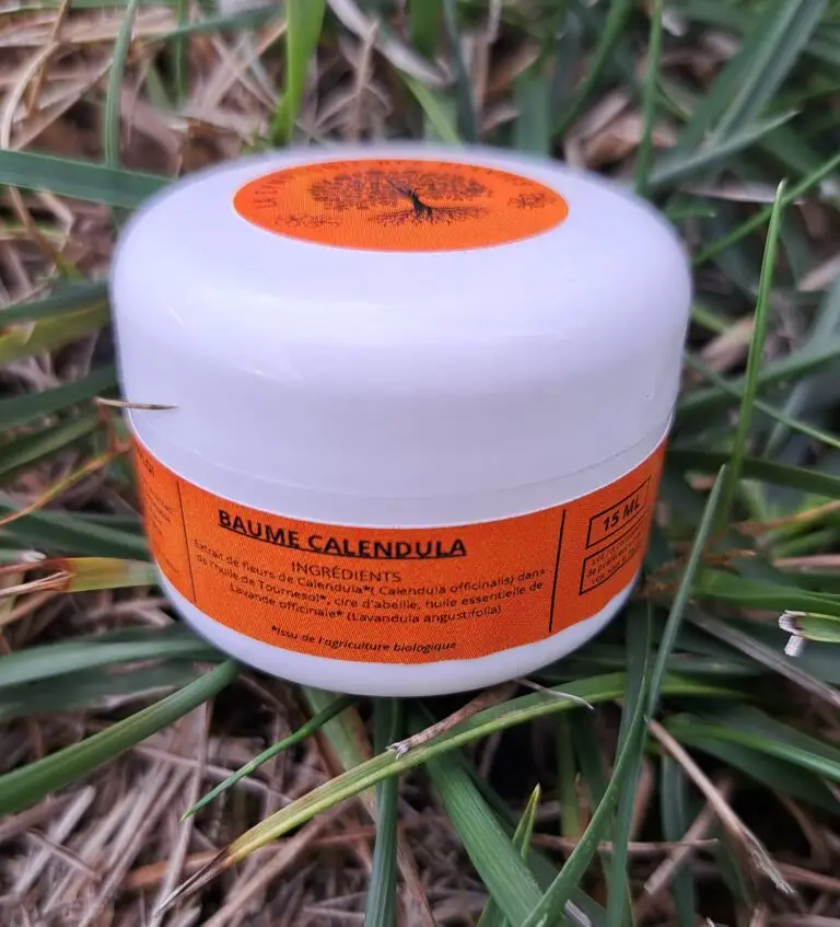 calendula15