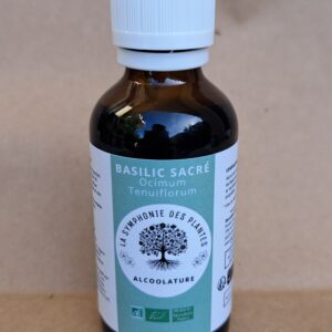 BASILIC SACRE