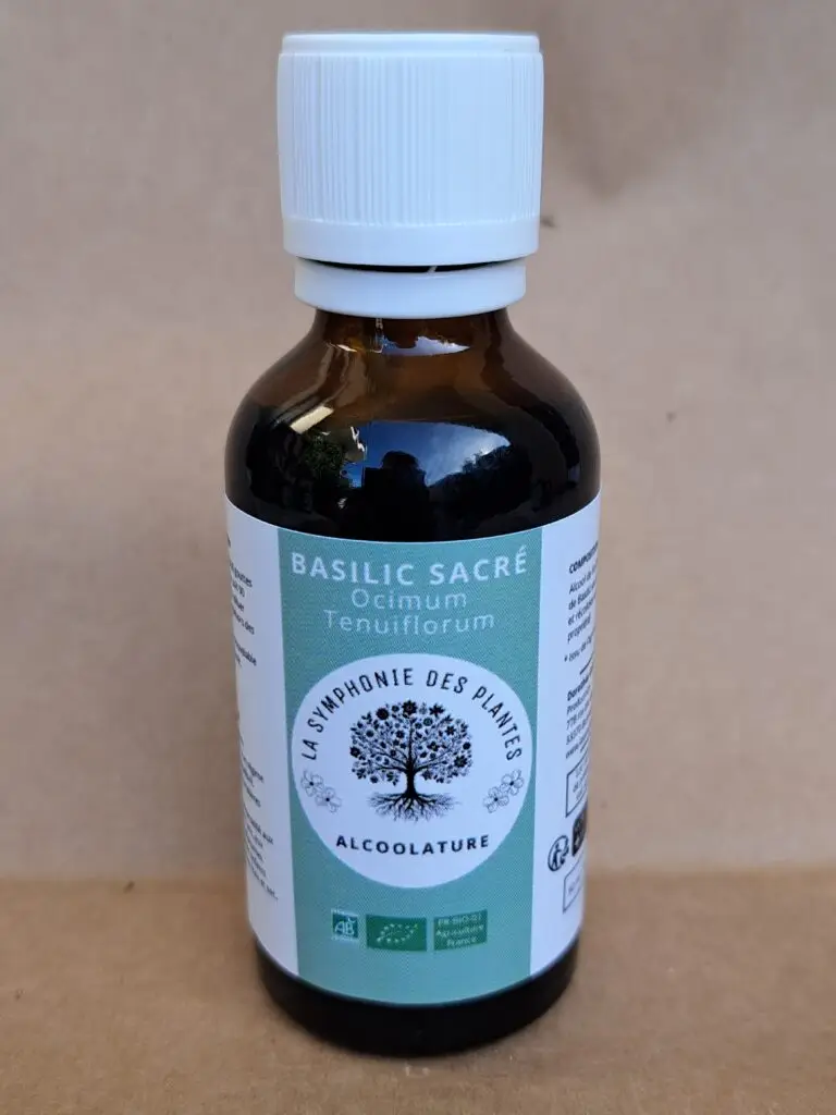 A Basilic sacré